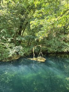 Bela Krajina: tra il fiume Krupa e il profumo della Pogača, alla scoperta dell’anima della Slovenia 12