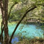 Bela Krajina: tra il fiume Krupa e il profumo della Pogača, alla scoperta dell’anima della Slovenia