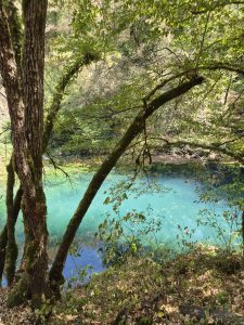 Bela Krajina: tra il fiume Krupa e il profumo della Pogača, alla scoperta dell’anima della Slovenia 14