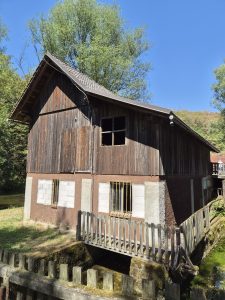 Bela Krajina: tra il fiume Krupa e il profumo della Pogača, alla scoperta dell’anima della Slovenia 1