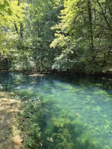 Bela Krajina: tra il fiume Krupa e il profumo della Pogača, alla scoperta dell’anima della Slovenia