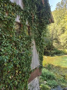 Bela Krajina: tra il fiume Krupa e il profumo della Pogača, alla scoperta dell’anima della Slovenia 4