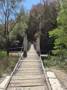 Bela Krajina: tra il fiume Krupa e il profumo della Pogača, alla scoperta dell’anima della Slovenia 6