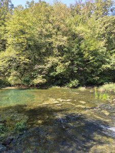 Bela Krajina: tra il fiume Krupa e il profumo della Pogača, alla scoperta dell’anima della Slovenia 8