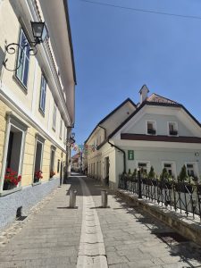 Radovljica, il gioiello sloveno tra cioccolato, api e antiche tradizioni 21