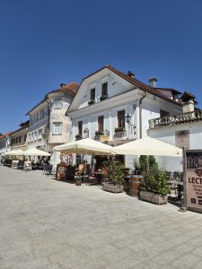Radovljica, il gioiello sloveno tra cioccolato, api e antiche tradizioni 22