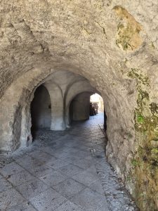 Radovljica, il gioiello sloveno tra cioccolato, api e antiche tradizioni 24