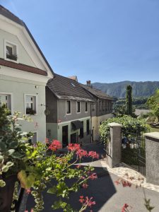 Radovljica, il gioiello sloveno tra cioccolato, api e antiche tradizioni 8