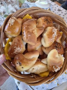 Ana Štublar e il meraviglioso mondo delle api nella Bela Krajina. 8