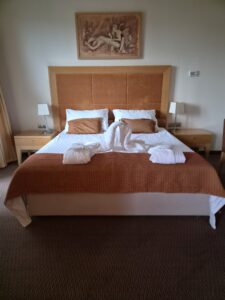 Grand Hotel Primus a Ptuj: un viaggio tra terme, storia romana, wellness e sapori della Stiria 1