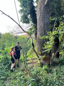 In canoa sul fiume Kolpa: la Bela Krajina vista dall’acqua 3