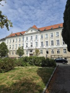 Maribor, tra storia, sapori e la vite più antica del mondo 1