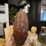 Teta Frida a Maribor: la mia tavoletta di cioccolato sul fiume Drava