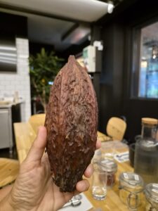 Teta Frida a Maribor: la mia tavoletta di cioccolato sul fiume Drava 2
